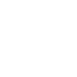 International Customer Service Standard 2020:2025 (ICSS) Gold Certification